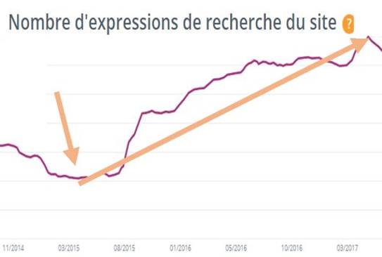 reference seo petit 2