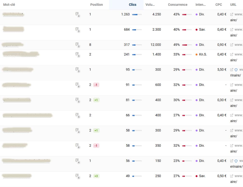 exemple extractions seo analyse audit Stratégie Digitale : exemple d'extractions seo pour analyse et audit